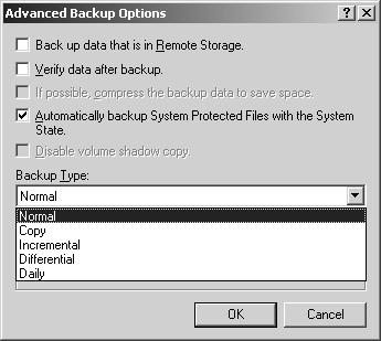 The Advanced Backup Options dialog box.