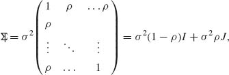 Unnumbered Display Equation