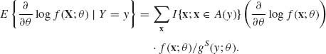 numbered Display Equation