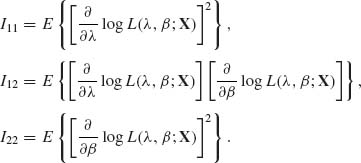 Unnumbered Display Equation