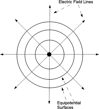 c1-fig-0009