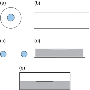 c2-fig-0006