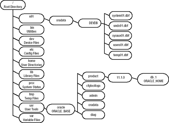 Some common directories used on a Linux database server