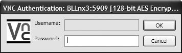 VNC viewer password prompt