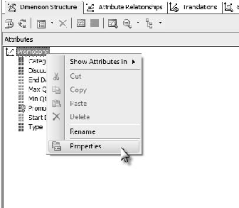 Opening the Properties pane for the dimension