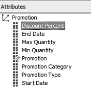 Attributes on the Promotion dimension