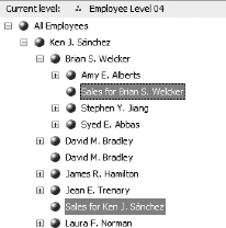 Data members for nonleaf members in a parent-child hierarchy