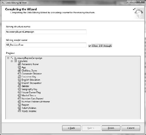 Completing the Data Mining Wizard