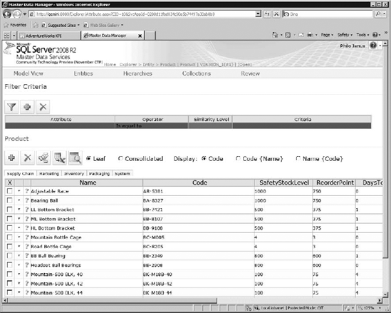 Master Data Services web-based data management interface