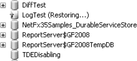 LogTest database in the "Restoring..." (or unrecovered) state