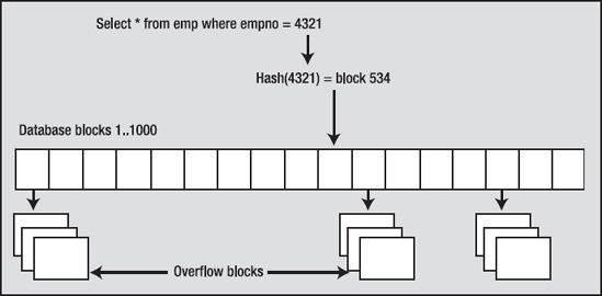 Depiction of a hash cluster