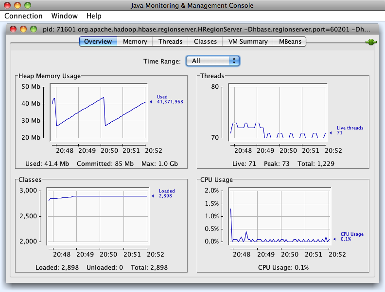 The JConsole application, which provides insight into a running Java process