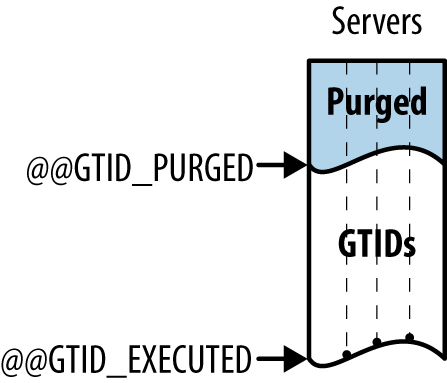 GTID_EXECUTED and GTID_PURGED