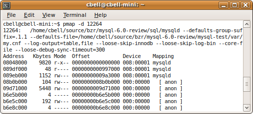 The pmap command—part 1