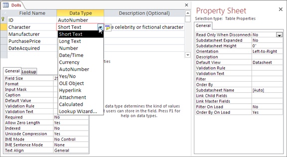 To choose a data type, click the Data Type column next to the appropriate field. A drop-down list box appears, with 12 choices.