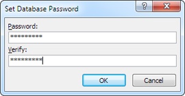 Just to be sure, Access asks you to enter the password twice.