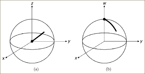 A sequence of frames formed by rotating about the axis. (a) Usual projection. (b) w projection.