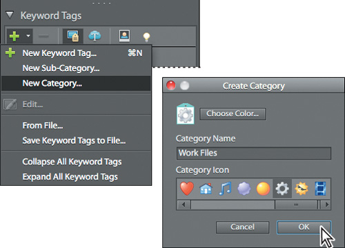 Creating a keyword tag for your working files