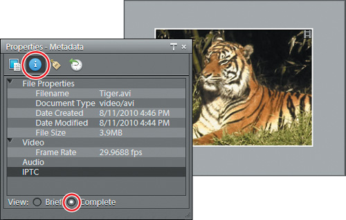 Metadata support for audio and video files