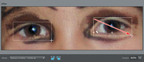 Using the Red Eye Removal tool