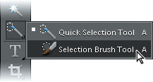 Using the Selection Brush tool