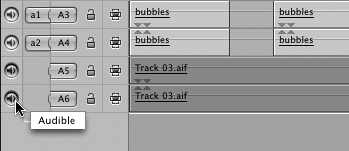 Using Audio Track Controls