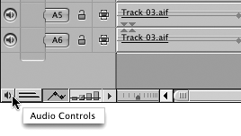 Using Audio Track Controls