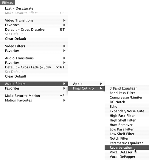 Applying Audio Filters