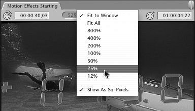 Changing the Zoom ViewCanvasimage size optionsFit to Window optionmotion effectsmotion effectszoom viewsview optionszoomViewersize optionszoomview optionszoom pop-up menu