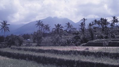 Setting a deep-blue-colored solid to Color mode and overlaying it on the plate footage has the effect of tinting the colors in the image blue. Subtler uses of this mode are explored in Chapter 12, “Working with Light.”