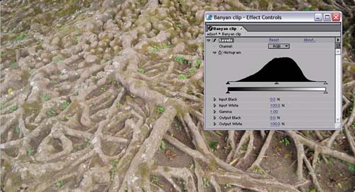 Possibly the most used “effect” in After Effects, the Levels adjustment control consists of a histogram and five basic controls per channel; the controls are usually accessed using the triangles on the histogram, with corresponding numerical/slider controls below. The default settings are shown here.