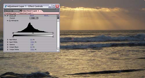 The same basic subject will have a variety of histograms depending on lighting conditions. There is no such thing as a “good” histogram, although alongside their images these histograms can tell you quite a bit about how much contrast and range of color is already present, and what might need correction.