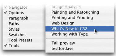 FIND ALL THE NEW CS2 STUFF FAST!canvas area,Canvas Size dialog,Filter menu,Image Size dialog,keyboard shortcutsCanvas Size dialogkeyboard shortcutsImage Size dialogmenusfiltermenusnew featuresPhotoshop CS2new featuresshortcutsCanvas Size dialogshortcutsImage Size dialogworkspace,