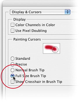 CURSOR TOO SMALL? MAKE IT BIGGERcommandsTile VerticallycursorsresizingDisplay & Cursors preferences,Full Size Brush Tip option,images.fit-in-window sizefiles, graphic elements, photographsimages.side-by-side review offiles, graphic elements, photographsphotographs.fit-in-window sizefiles, imagesphotographs.side-by-side review offiles, imagespreferencesDisplay & CursorsTile Vertically command,