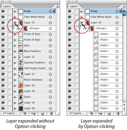 Expand All Sublayers