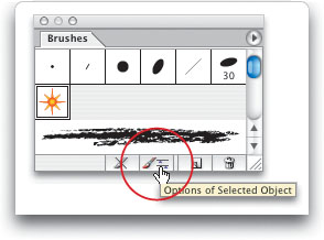 Brush Options vs. Options of Selected Object