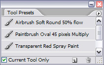 The Tool Presets palette is a central location for applying and managing tool presets.