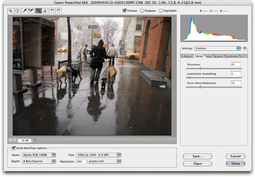 The Adobe Camera Raw dialog box with the Detail tab visible on the right side.