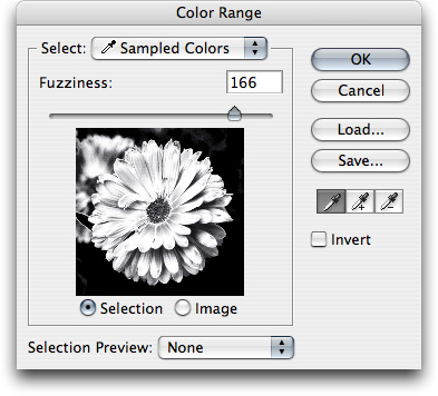 The Color Range dialog box after clicking the flower color to mark it for selection. The white areas will be selected.
