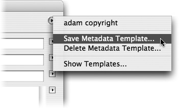 Create and apply metadata templates, metadatatemplates to Save Metadata Template commandsave time and ensure consistency.