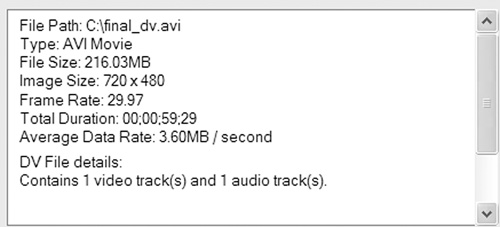 DV file details from the information screen of a video editor.