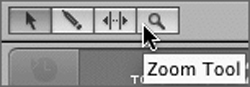 Working with the Zoom Tool