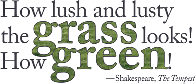 Type applied as a texture. “Grass” and “Green” are selected with the Type tool and converted to outlines (making them into inline picture frames) before the grass image is Pasted Into each.