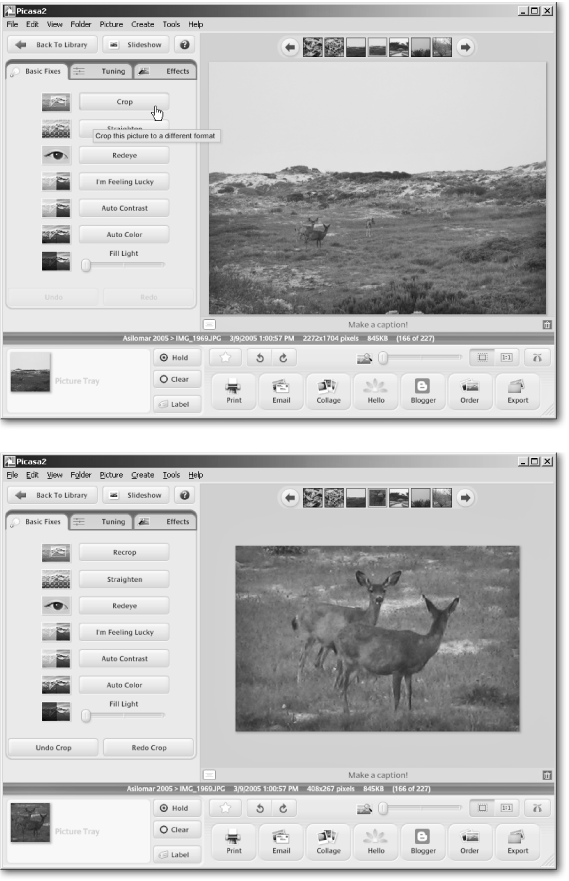 Top: Like Windows, Picasa can resize a photo for sending through email. But in this case, resizing the entire photo shrinks the deer into little specks, which makes for a pretty boring photo.Bottom: Unlike Windows, Picasa offers a crop tool, letting you place a resizable rectangle around the most important portion of your photo—then save just that portion. By cropping out all of the photo except for the deer, for instance, this photo becomes small enough to send through email, yet still shows the portion that matters: those cute deer and their big ears.