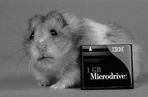 Smaller than your average hamster, Microdrives are miniaturized hard drives crammed into a CompactFlash card’s housing. They work in almost any device that accepts a CompactFlash card, but with two restrictions. The cards are slightly thicker than most CompactFlash cards (Figure B-2, right, shows the difference), and they draw more voltage. The extra voltage requirements overpower some devices and drain the batteries faster on others.