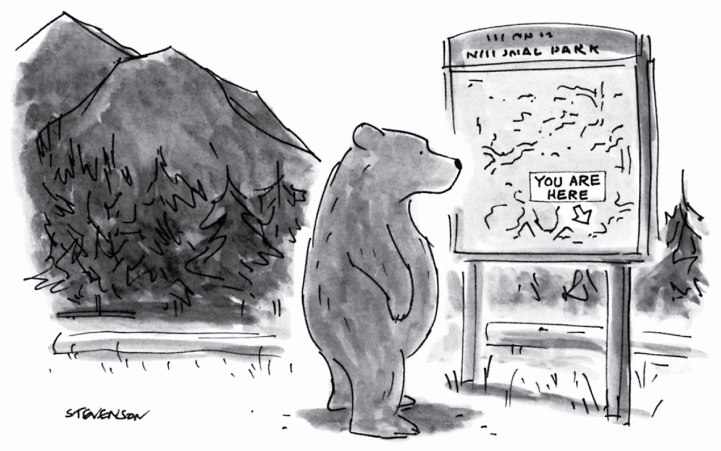 Cartoon shows a bear in a national park looking at a You are here indicator in a map.