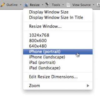 Image of the Resize menu showing frequent viewport sizes like 1024x768 or iPhone/portrait