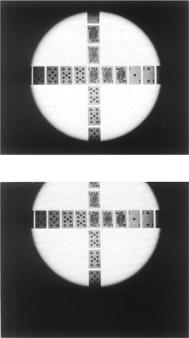 Figure 3-29 Positions of the circle of good definition in relation to the film with the lens adjustments zeroed and after lowering the lens with the rising-falling adjustment. The image moved down on the ground glass and up on the print.