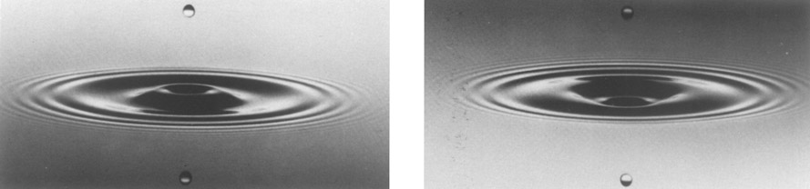 Figure 6-34 Even though the second of these two identical photographs has been inverted, viewers typically perceive that they are looking downward at a liquid surface in both pictures but that the ridges and depressions of the waves are reversed.—Jean-Paul Debattice