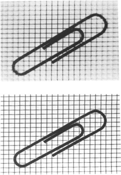Figure 6-9 Photographs of a small object made with a normal-type camera lens (top) and a macro lens (bottom), both at the maximum diaphragm openings.